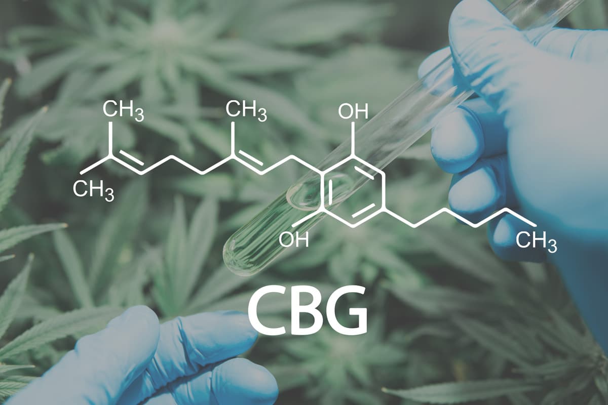 CBG Dosage Chart How Much CBG Oil Should I Take?