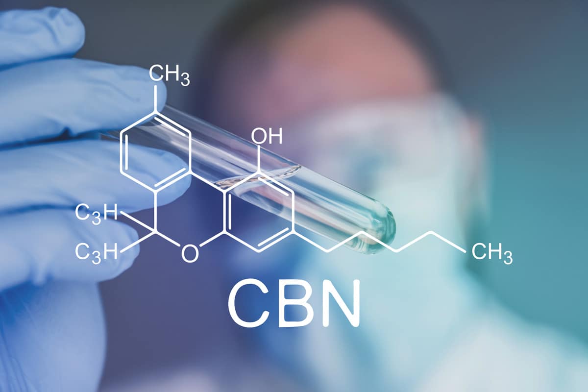 CBN Dosage Chart How Much CBN Oil Should I Take?