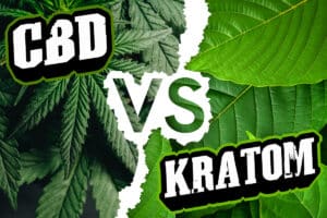 CBD vs Kratom: Two Titans of Natural Medicine Go Head-to-Head