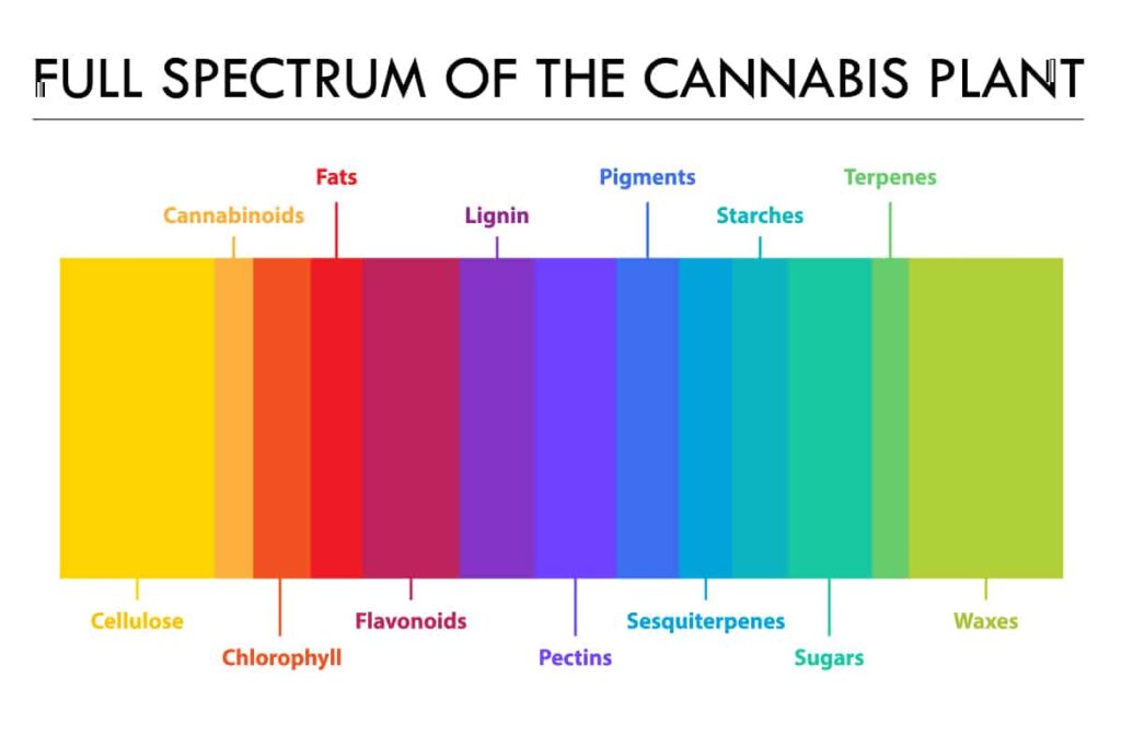 Why the Best CBD for Anxiety is Made From True Full Spectrum Extracts