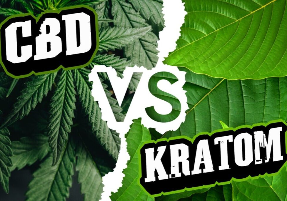 CBD vs Kratom: Two Titans of Natural Medicine Go Head-to-Head