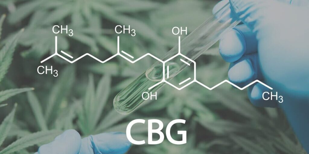 CBG Dosage Chart: How Much CBG Oil Should I Take?