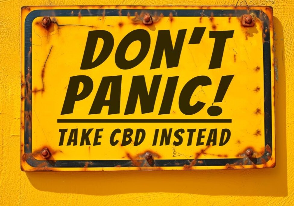 CBD for Panic Attacks Safety & Dosage Guide For First-Time Users