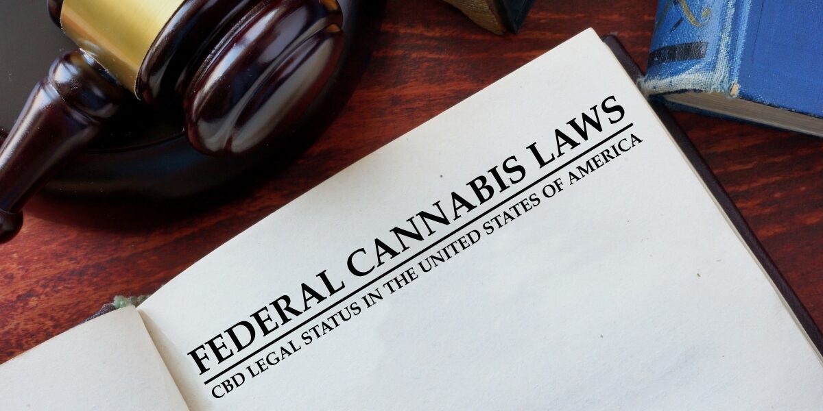 2025 CBD Legal Guide: Laws To Know Before You Buy CBD